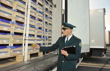 В каких случаях можно вычесть НДС, уплаченный таможенным представителем