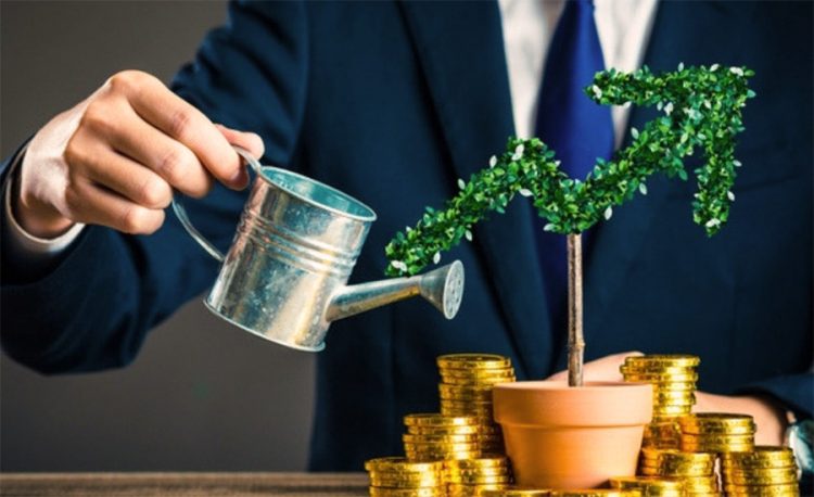Для стартапов разработали новую платформу венчурного кредитования