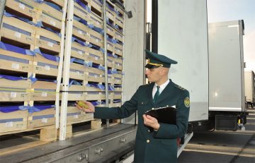 Таможня будет сотрудничать с ФНС: контроль бизнеса усилится