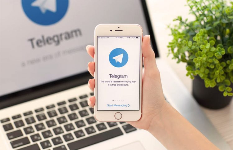 Правительство запустило telegram-канал для поддержки МСБ